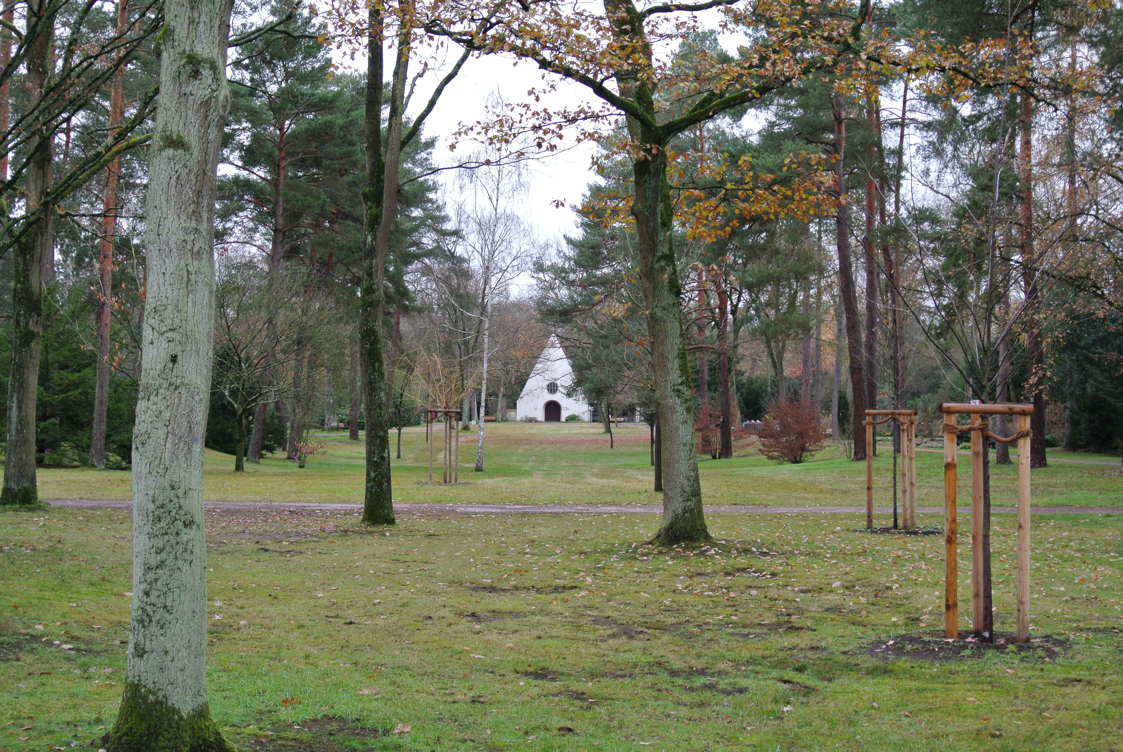 Baumbestandener zentraler Grünzug des Waldfriedhofs Goldstein mit der Trauerhalle im Hintergrund